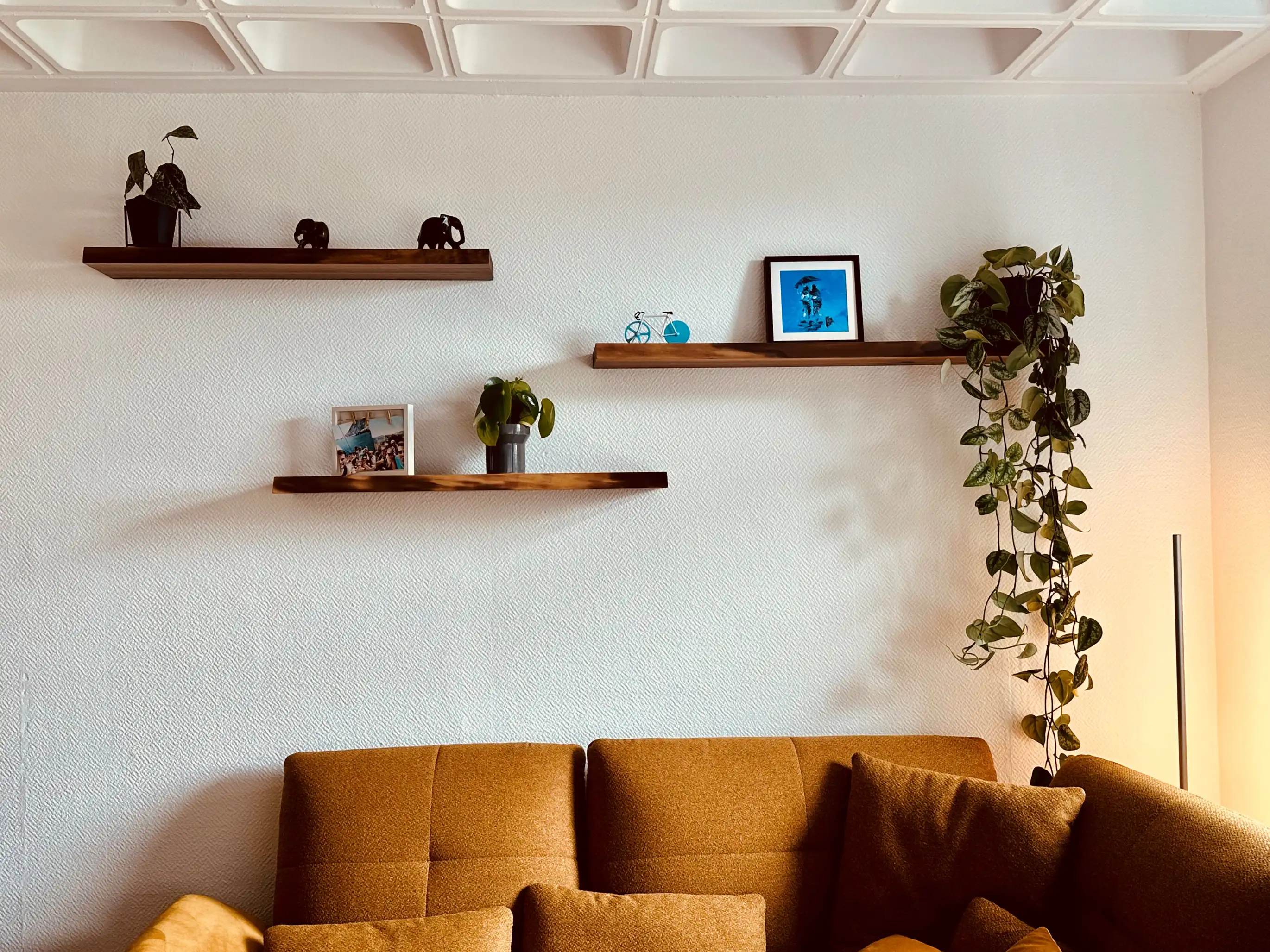Galeriebild 17